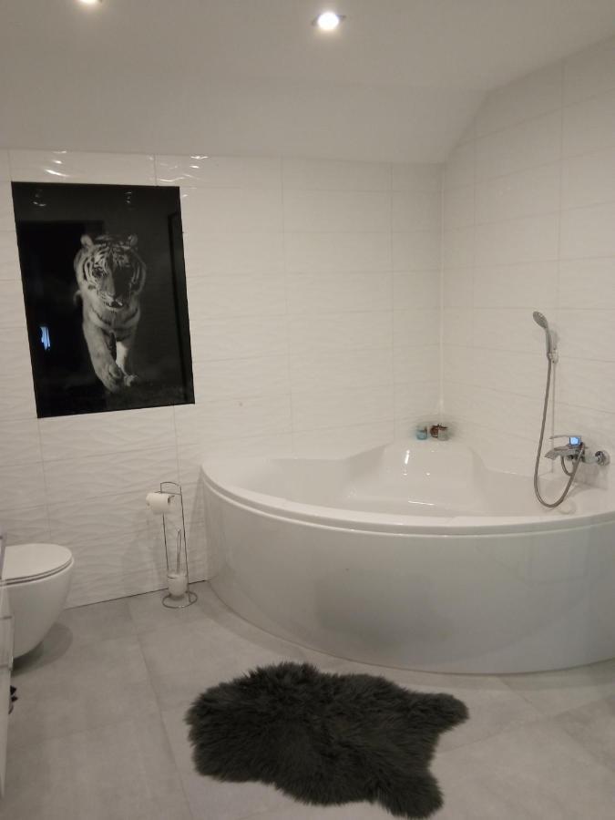 Przy Jeziorze Apartman Iława Kültér fotó